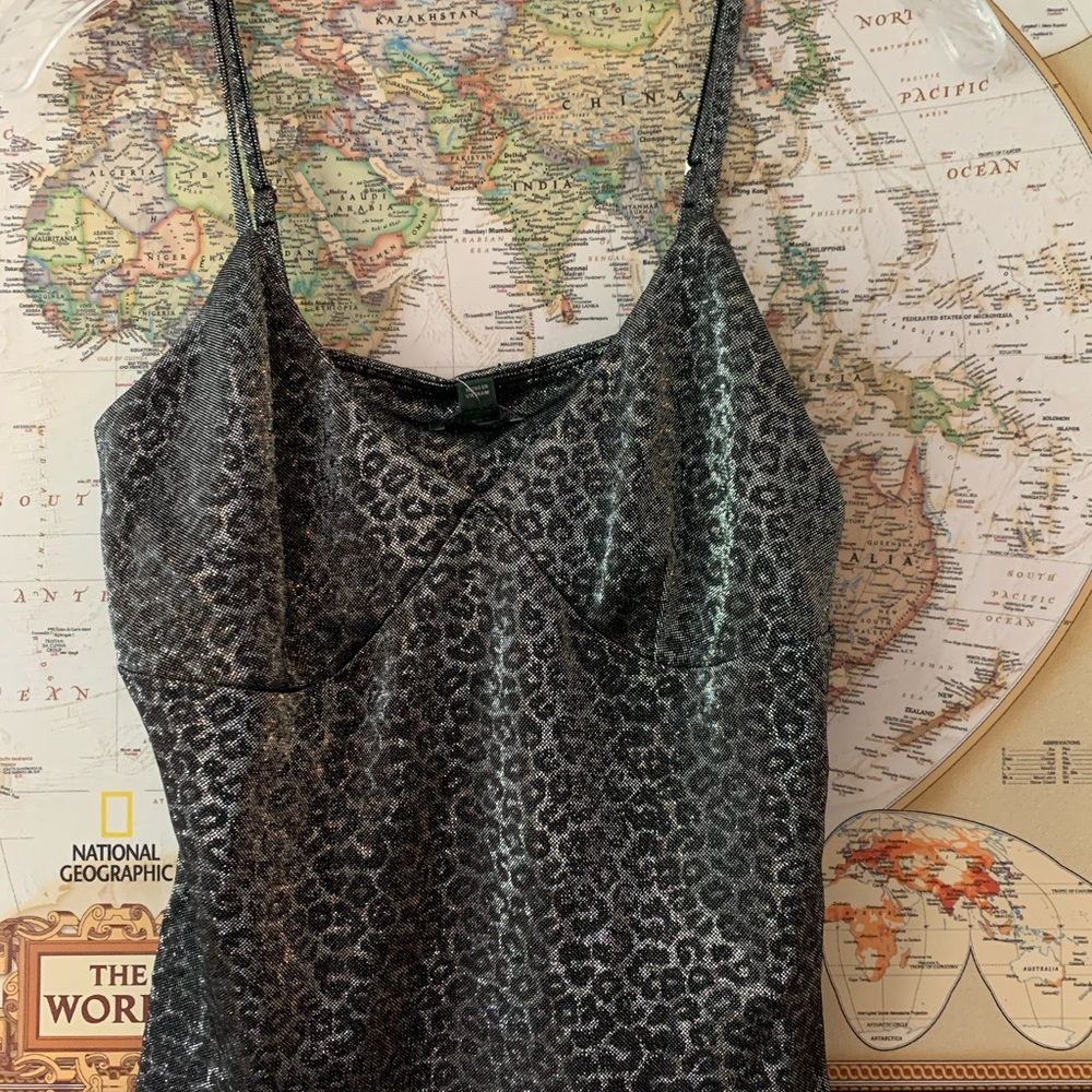 Leopard tank